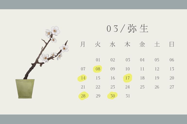 20E3A7A8-B038-41DC-B535-473C6F908FF4