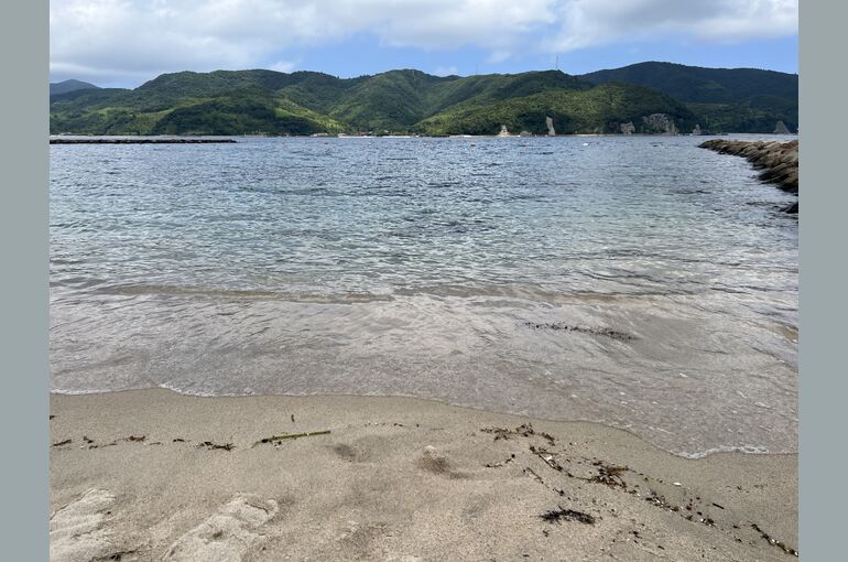 海